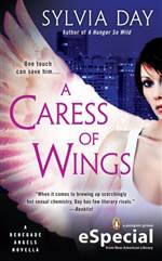 A Caress of Wings (Renegade Angels #1.5)