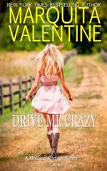 Drive Me Crazy (Holland Springs #1)