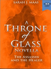 The Assassin and the Healer (Throne of Glass #0.2)
