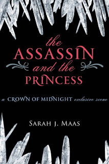 The Assassin and the Princess (Throne of Glass #1.1)