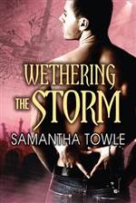 Wethering the Storm (The Storm #2)